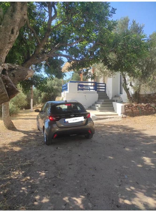 The Traditional House-Skalia,Kalymnos Skaliá Exterior foto